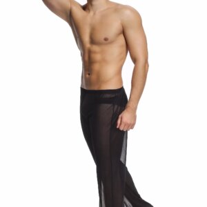 Free shipping Men's casual home mesh pants yoga pants sexy low-waisted youth net gauze transparent