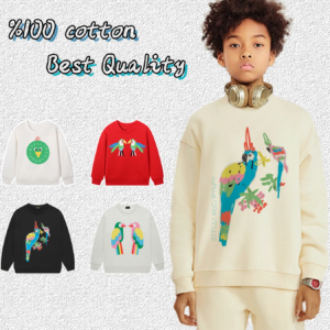 Fashion Kids Sweatshirt Parrot Print Boy Hoodies Autumn New Rainbow Bird Children's Pullover Street Casual Wear Teen Boy sweater