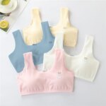 Small Vest Pure Cotton Bra Products Underwear For In The Development Period Of Elementary School Students 8-9-12-16 Years Old