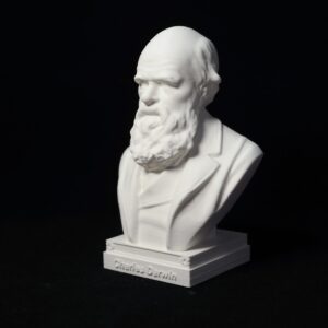 Darwin imitation plaster sculpture tabletop ornaments European scientist crafts great man portrait，plastic model