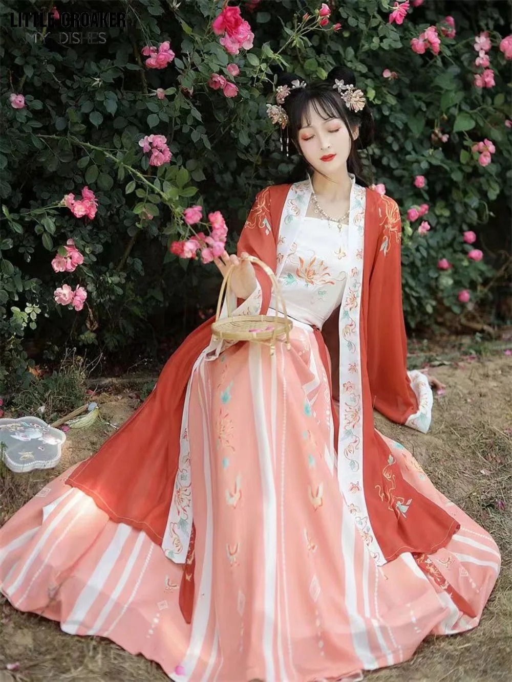 Hanfu Song Jacket Women Elegant Princess Dress Traditional Chinese Costume Ancient Performance Clothing - Image 5