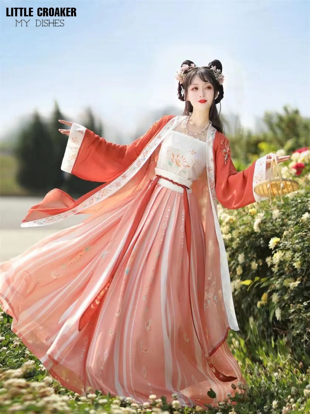 Hanfu Song Jacket Women Elegant Princess Dress Traditional Chinese Costume Ancient Performance Clothing - Image 2